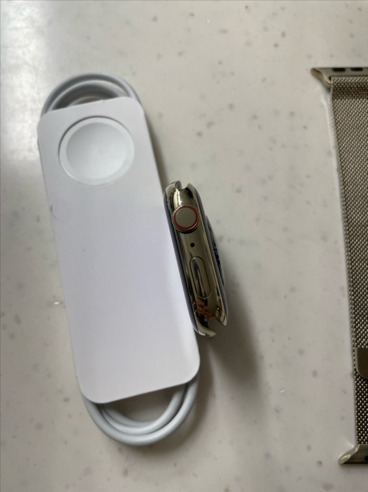 애플워치9스테인리스 45mm SSS급 이미지