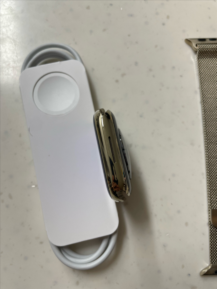 애플워치9스테인리스 45mm SSS급 이미지