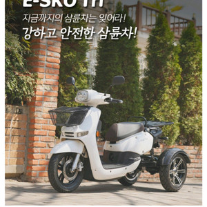 전기 스쿠터 이미지