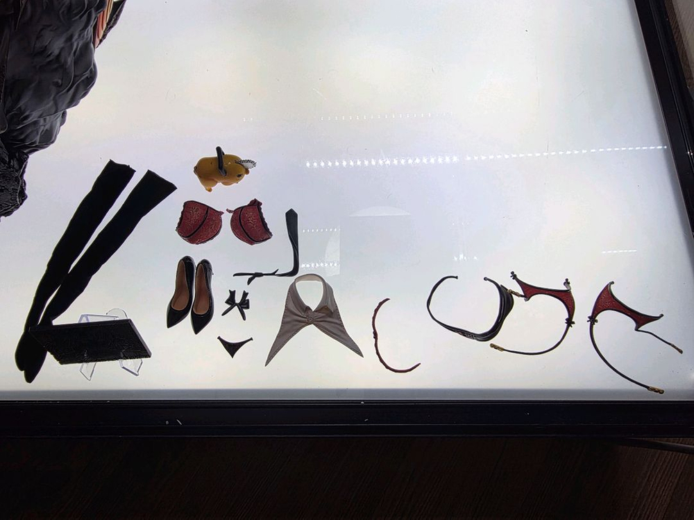 하비하우스 마키마 레진 팝니다 이미지