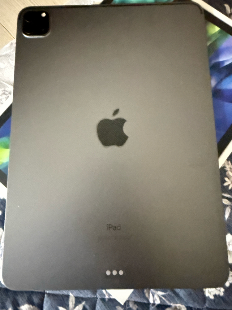 아이패드 프로11 2세대 256 이미지