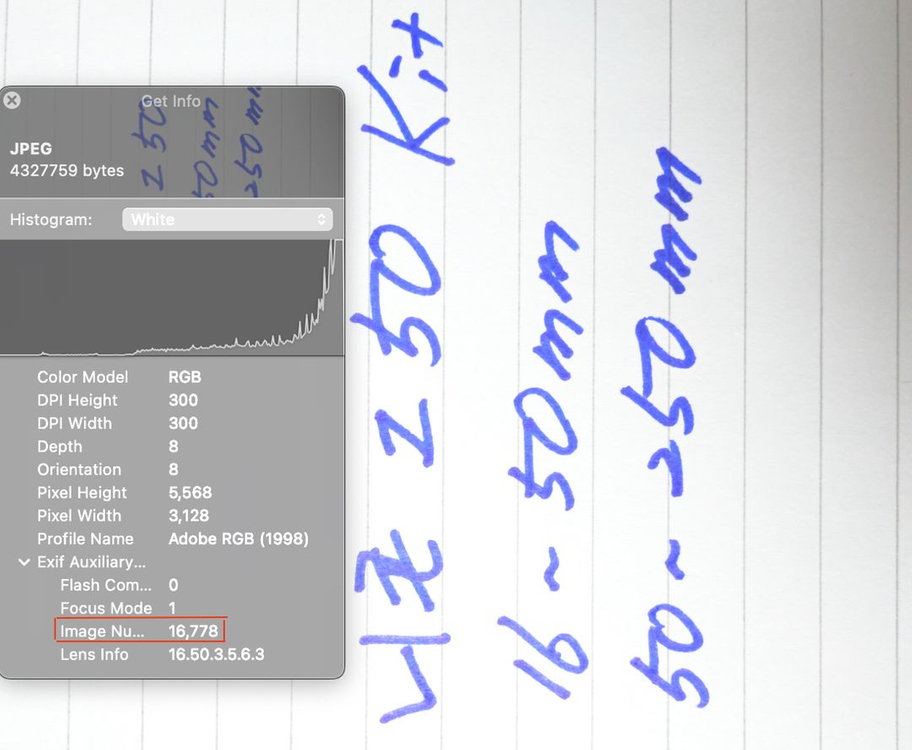 니콘 Z50, 16-50mm, 50-250mm 풀세트 이미지