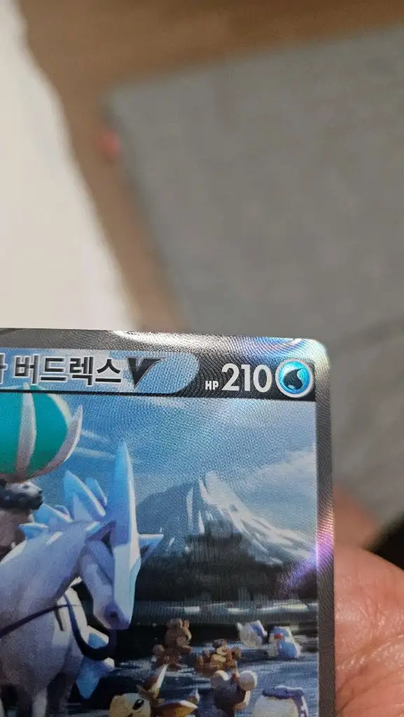 포켓몬카드 백마버드렉스 SR 특일카드입니다 이미지