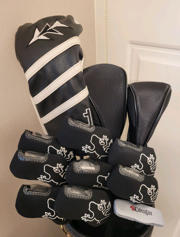 + 테일러메이드 + 남성용 골프채 풀세트 이미지