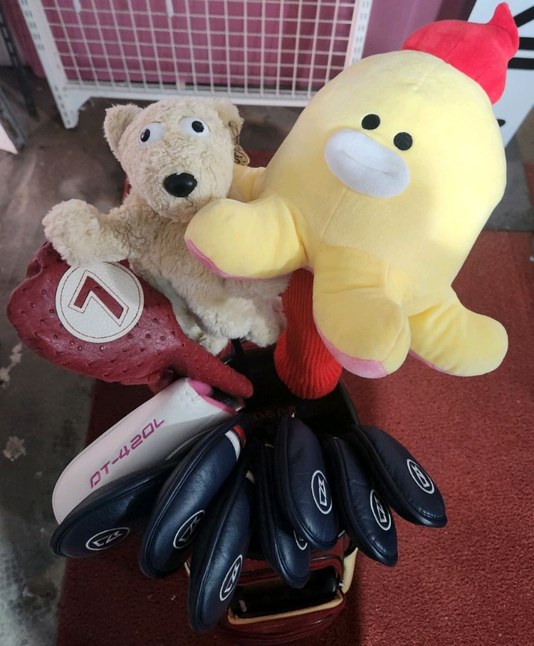 상태좋은 여성 젝시오xxio 골프채 풀세트 이미지