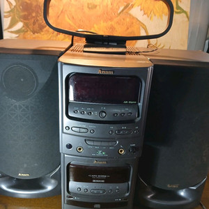 CD/DAC/카세트 라디오 시스템 이미지