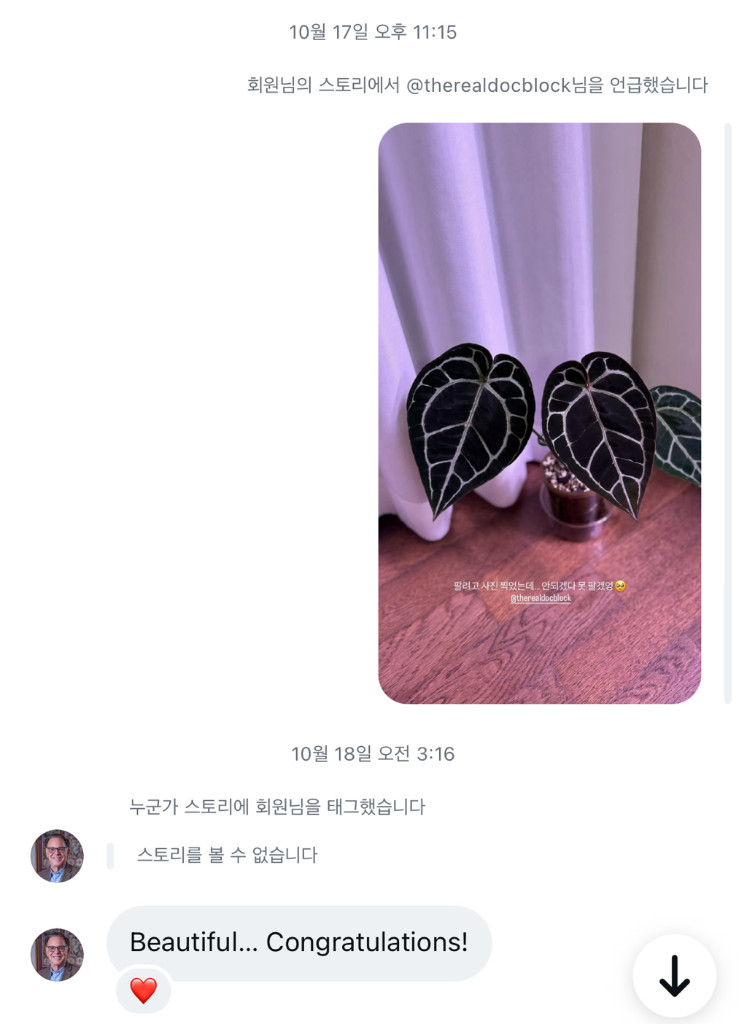 안스리움 미쉘x자라 닥터블락 이미지