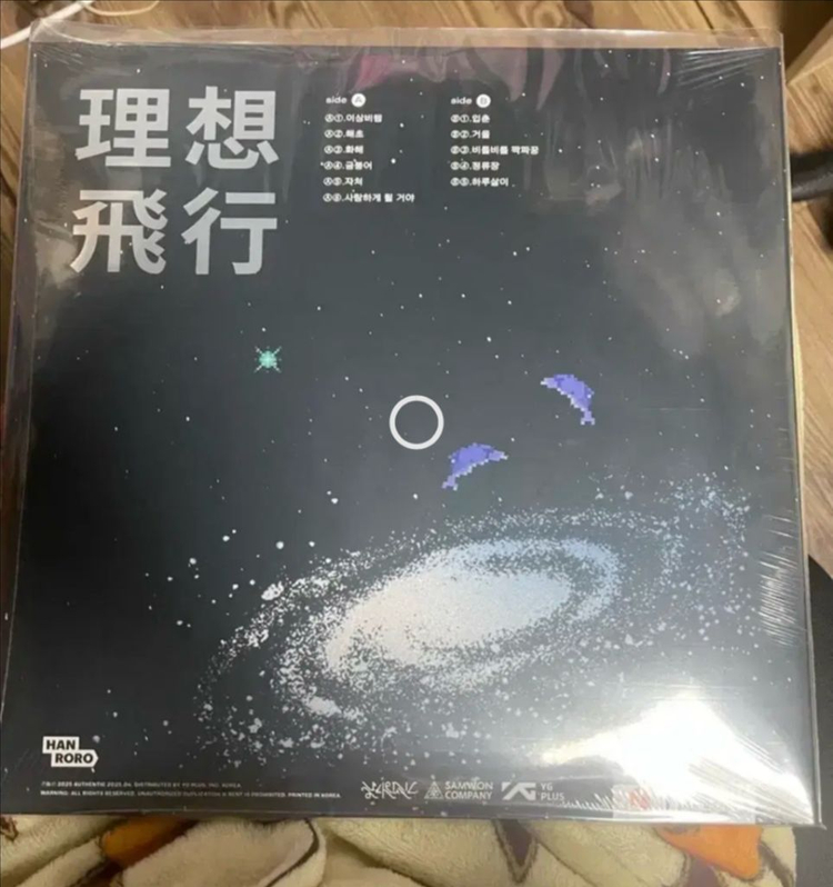 한로로 이상비행 lp 판매 합니다 이미지