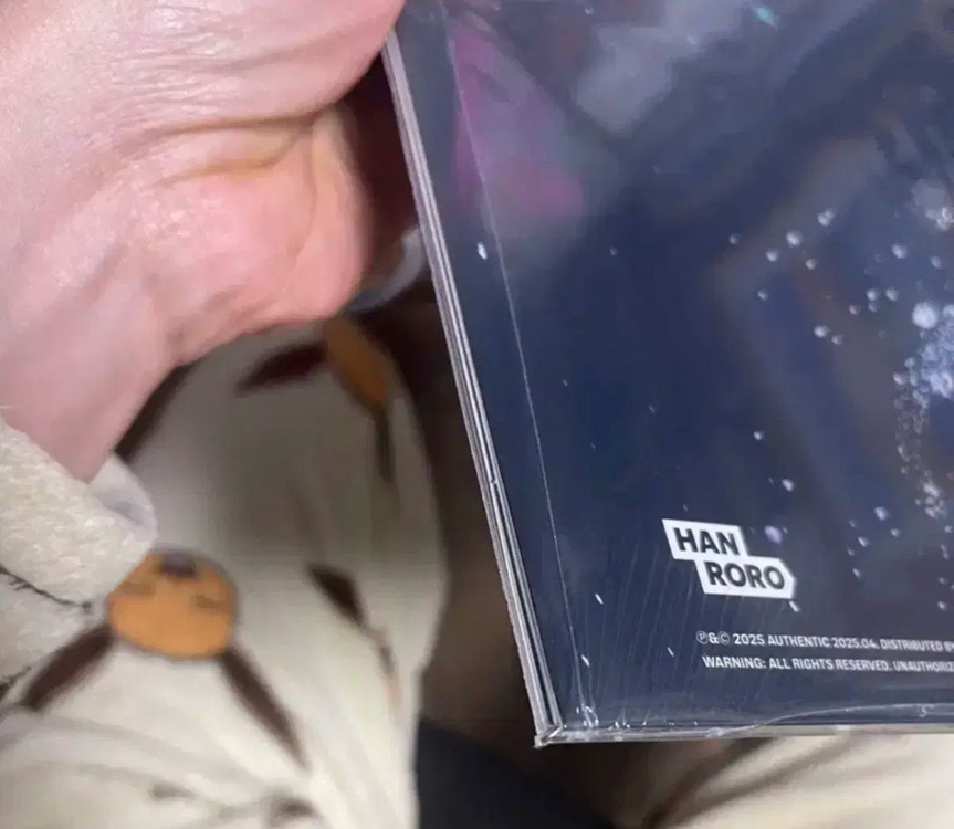 한로로 이상비행 lp 판매 합니다 이미지