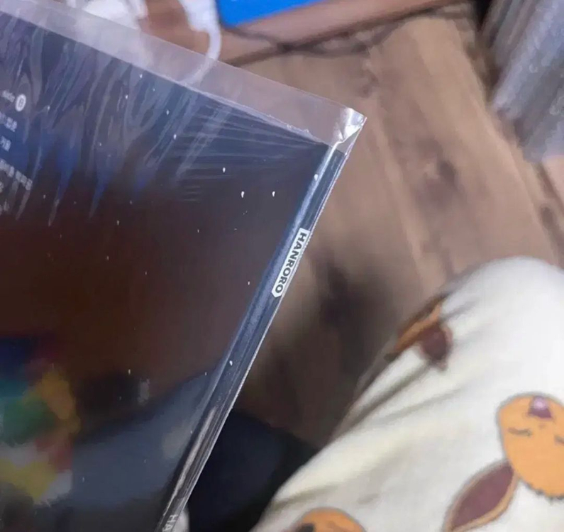 한로로 이상비행 lp 판매 합니다 이미지