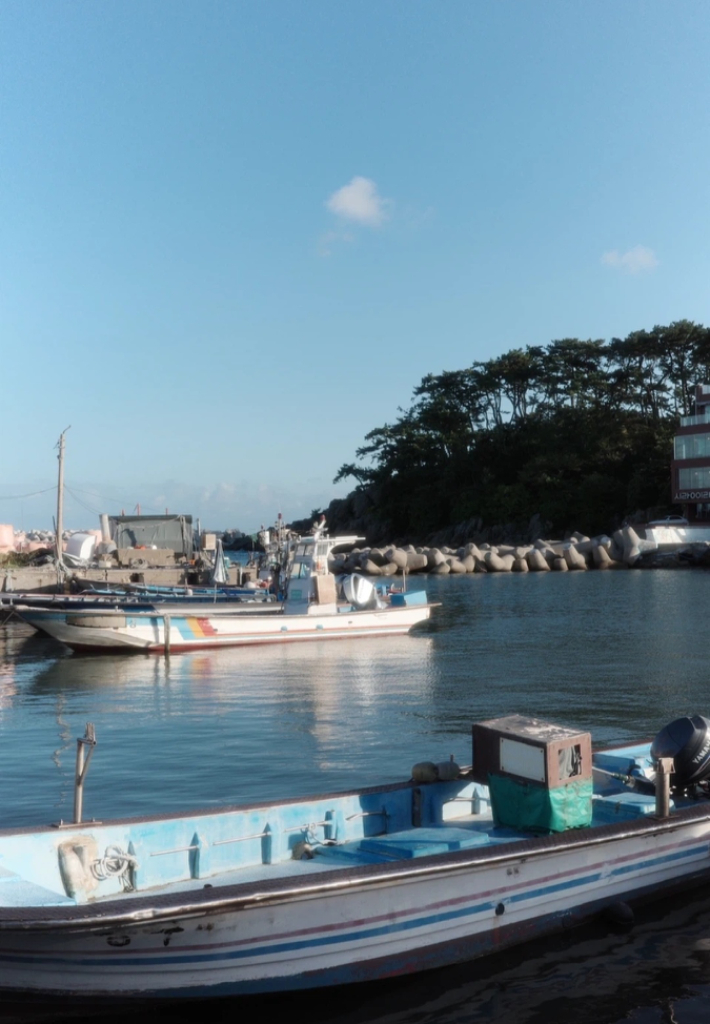 리코gr3x hdf 이미지