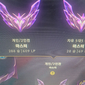 롤티어대리맡김듀오최저가24시환영 이미지