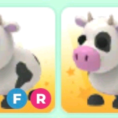 입양하세요 젖소 구해요 이미지