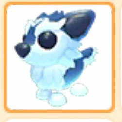 입양하세요 오싹늑대 펫 이미지