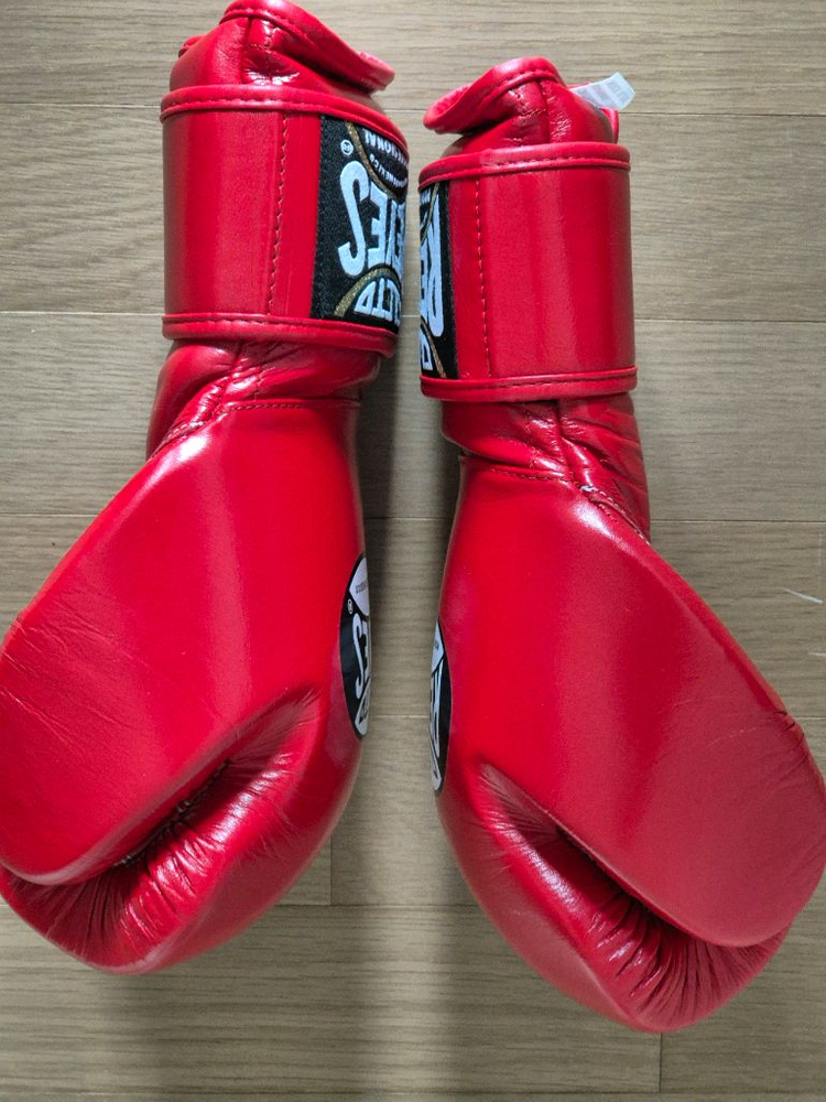 클레토 레예스 14oz 글러브 이미지