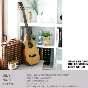 에일린 미니 기타(케이스 포함) 이미지