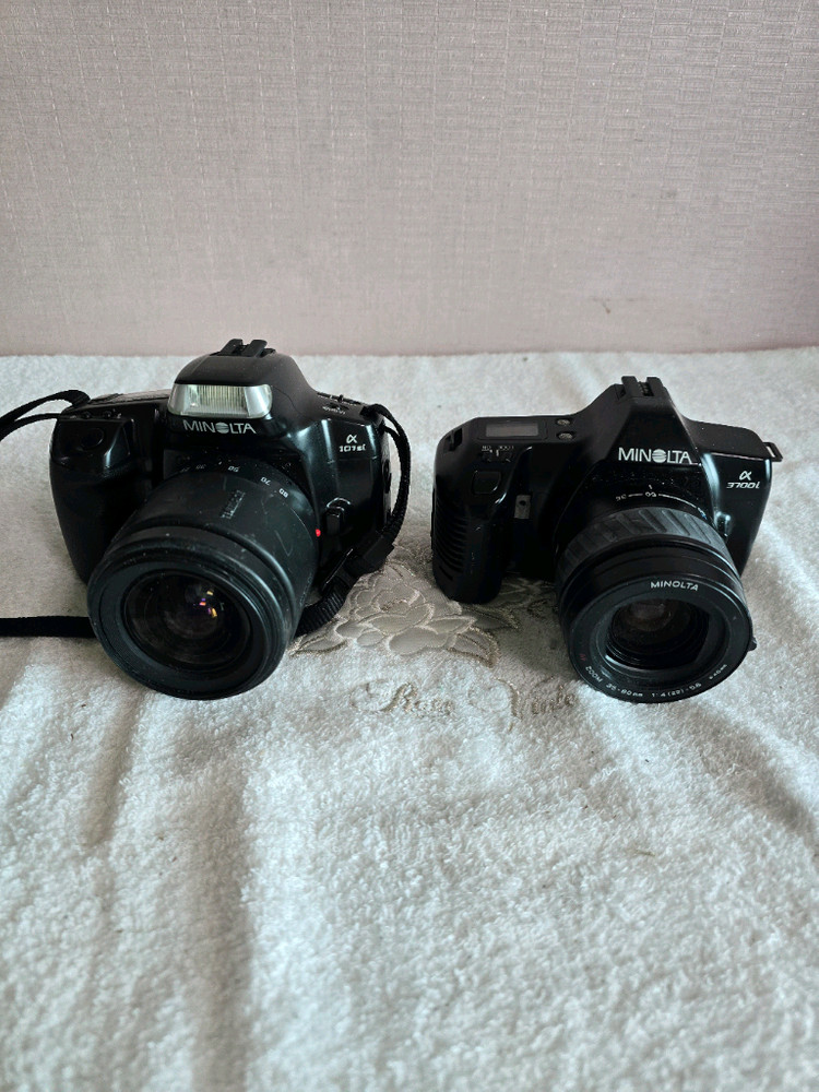 부품 디피용 미놀타 올림푸스등 아날로그 필름카메라 일괄 이미지