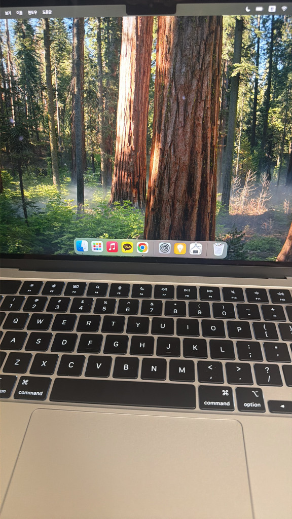 맥북에어13 m4 16GB 256GB 실버 영문자판 이미지