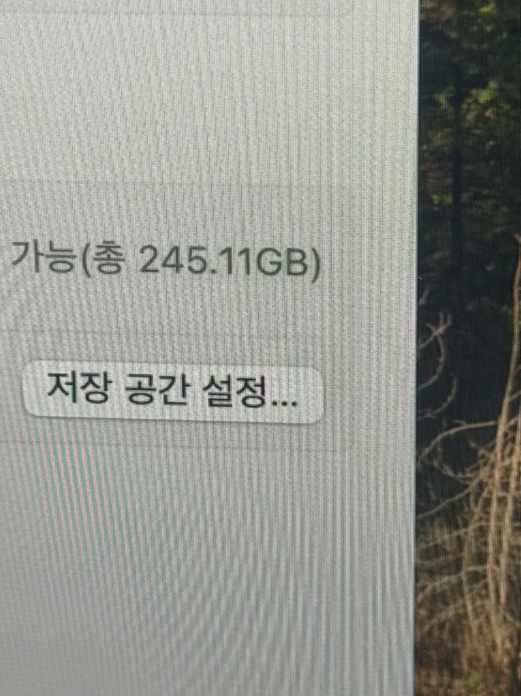 맥북에어13 m4 16GB 256GB 실버 영문자판 이미지
