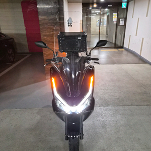 25년식 혼다 PCX (이전가능) 이미지