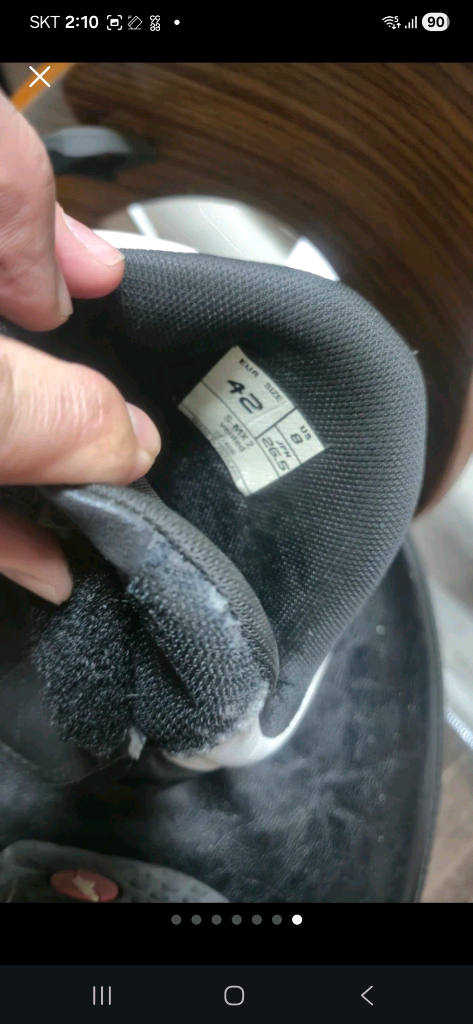 알파인스타 반부츠 이미지