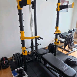 바디엑스 홈짐 풀구성(하프렉+레그컬&이스텐션 머신) 이미지