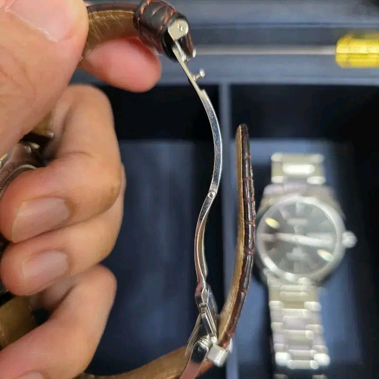 그랜드세이코 SBGR261 SBGR261G 이미지