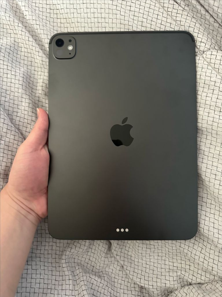 아이패드 프로 M5 11인치 256GB wifi 팔아요 이미지