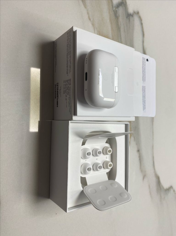 애플 에어팟 프로 2 C타입 이미지