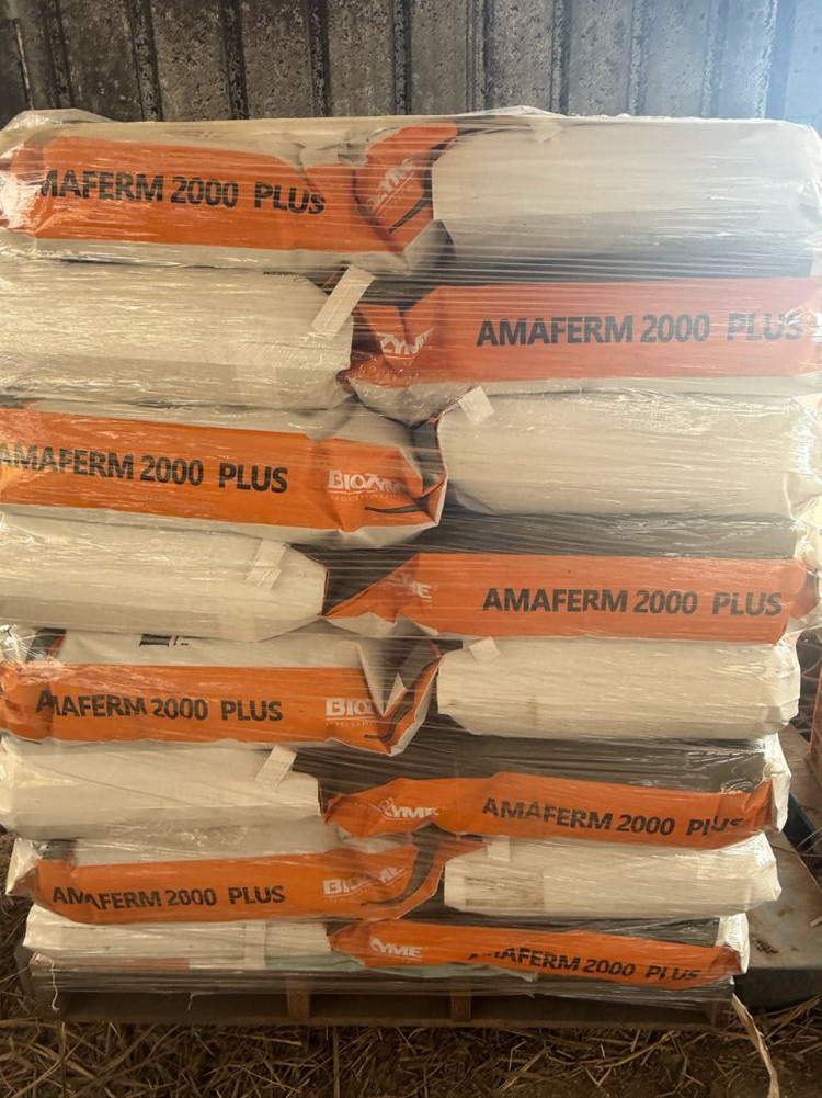 아마펌플러스 이미지