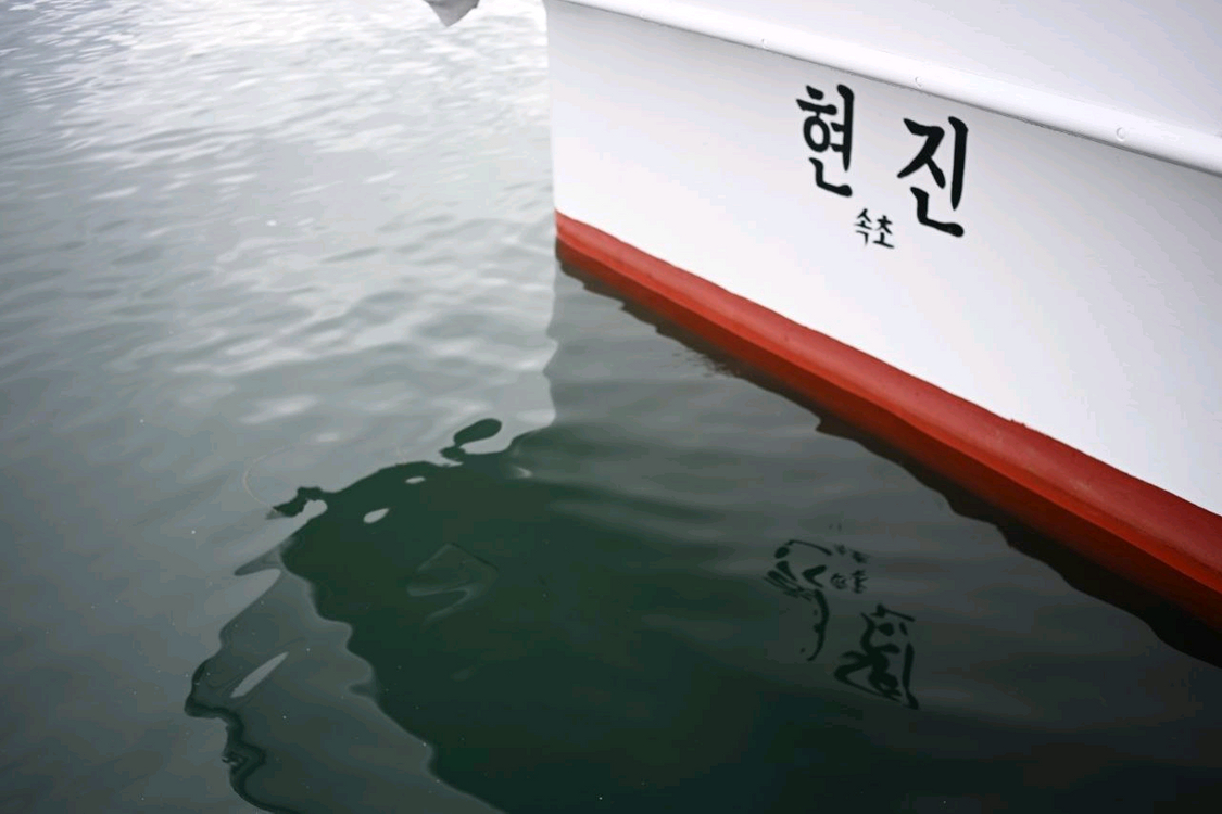 니콘 실버 45mm 2.8p 팬케잌렌즈 이미지