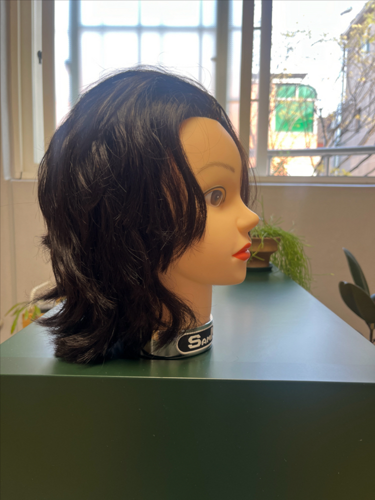 미용실 연습용 가발 이미지