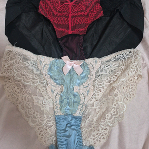 여성속옷 에블린 팬티 이미지