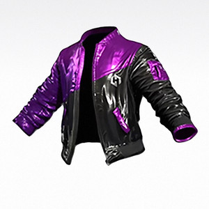 배그 헤이박스 자켓 스킨 코드 30일 이미지