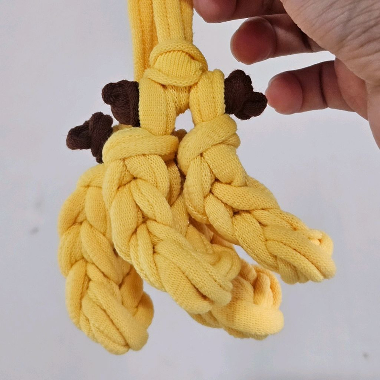 피그미다람쥐 양말목 바나나원숭이세트 이미지