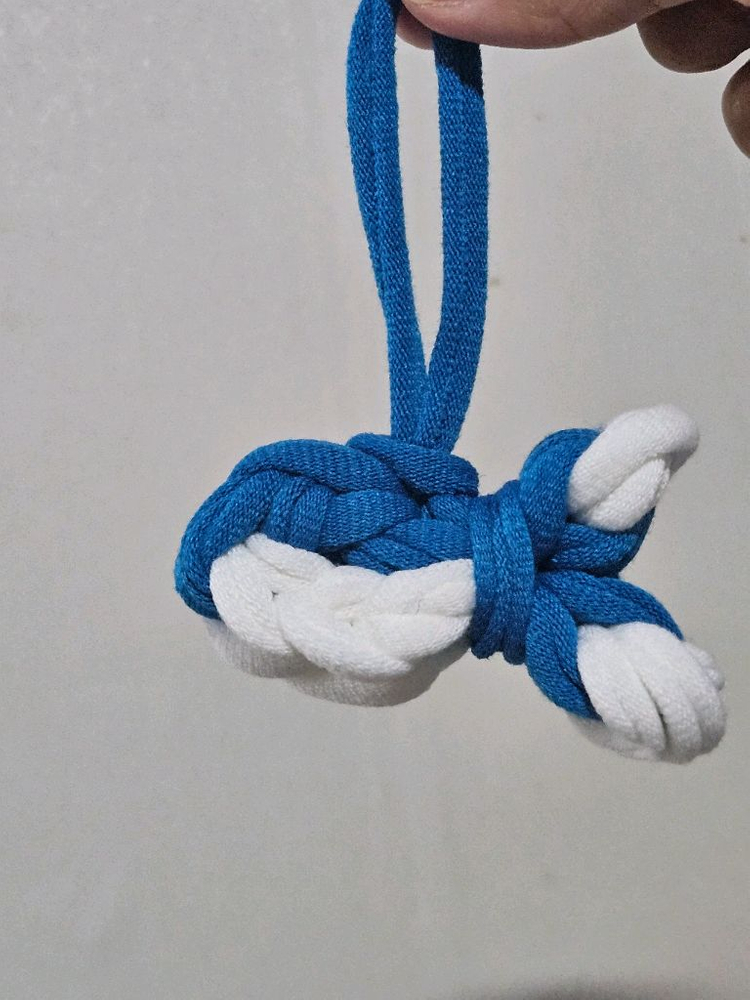 피그미다람쥐,양말목 바다친구들세트 이미지