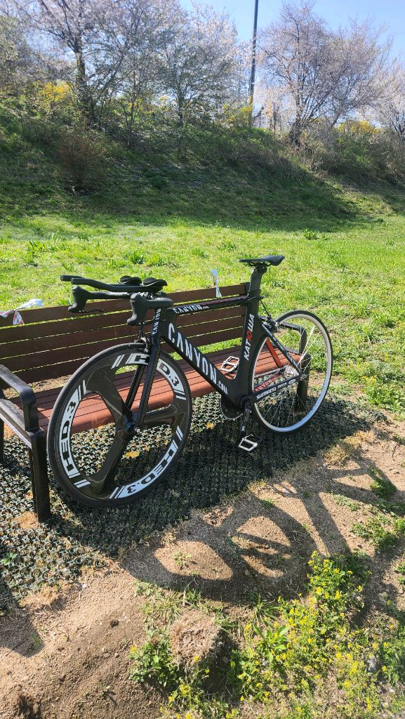 캐니언 스피드 맥스입니다 풀카본 트랙차 판/대 언노운 콘스탄틴 엔진11 쓰나미 이미지