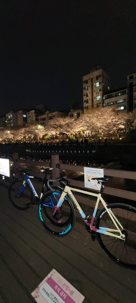 엔진11 크릿디 아이스크림 2023 판/대 이미지