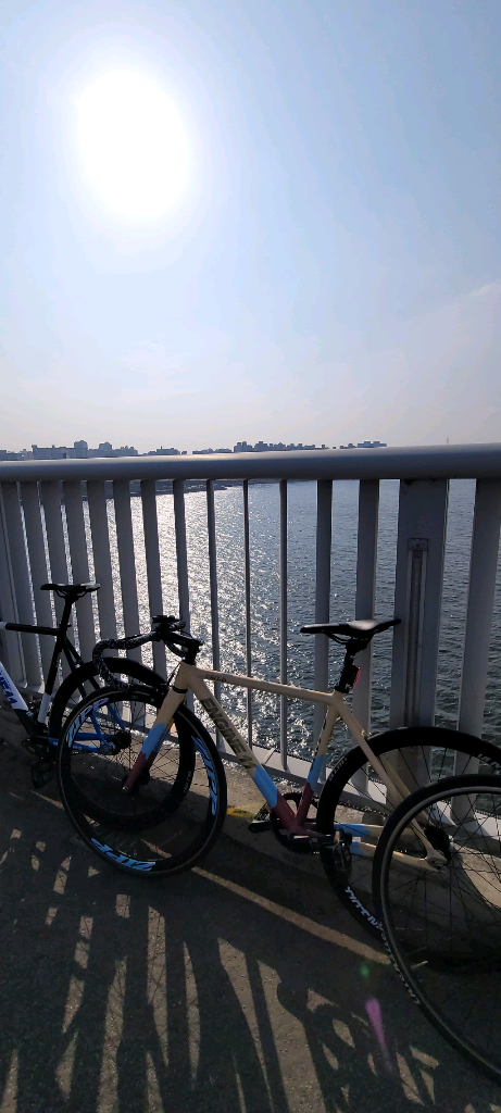 엔진11 크릿디 아이스크림 2023 판/대 이미지