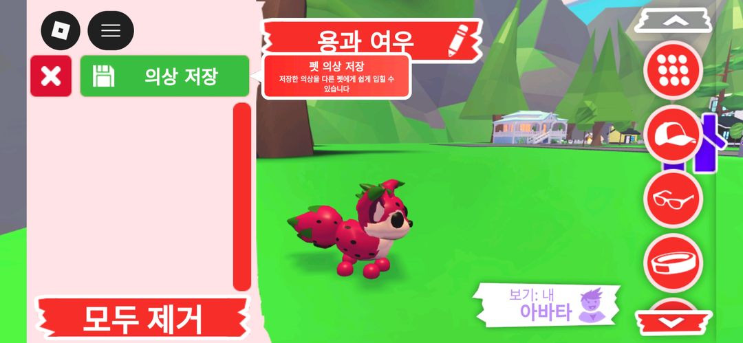 입양하세요 펫 용과 여우 판매합니다 이미지