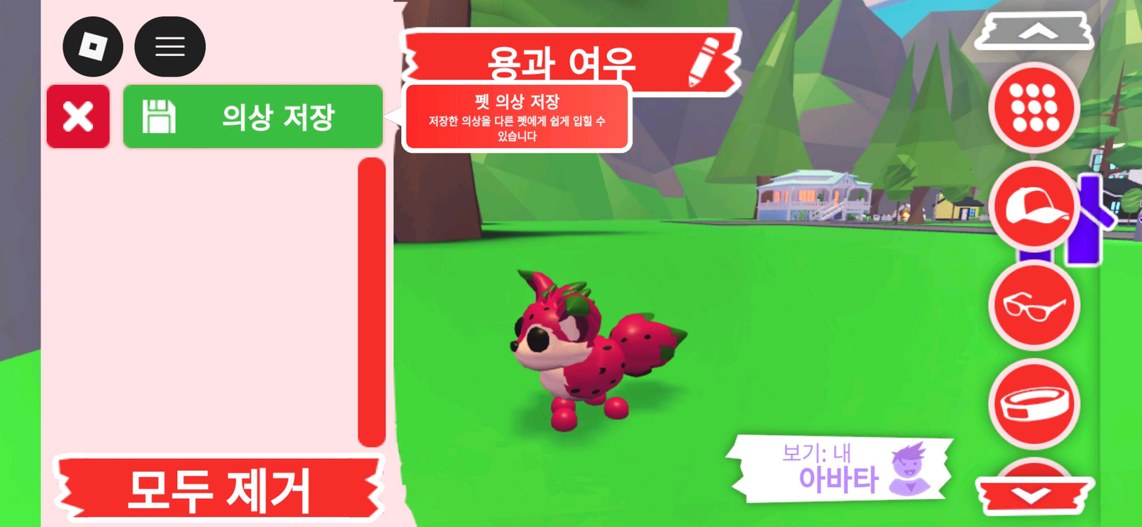 입양하세요 펫 용과 여우 판매합니다 이미지