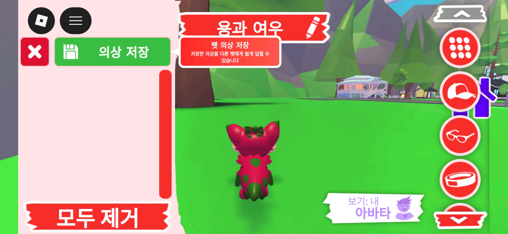 입양하세요 펫 용과 여우 판매합니다 이미지