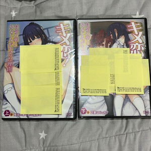 어른용 애니 DVD 판매 이미지