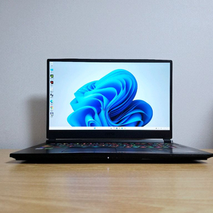 17.3인치 144Hz 게이밍 노트북 GL75 9SDK (16GB / GTX 1660 Ti) 이미지