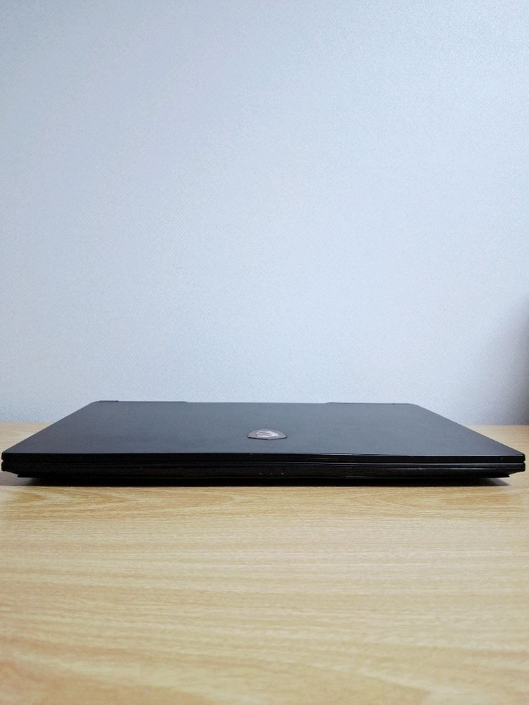 17.3인치 144Hz 게이밍 노트북 GL75 9SDK (16GB / GTX 1660 Ti) 이미지