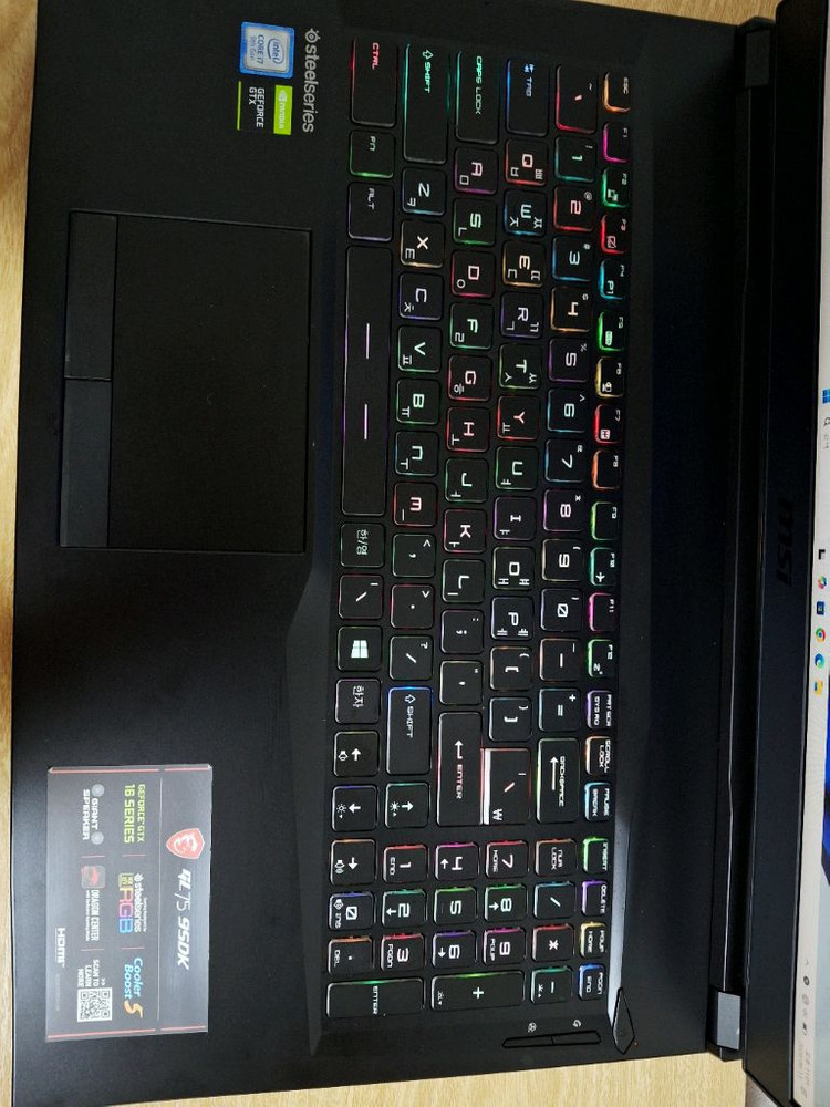 17.3인치 144Hz 게이밍 노트북 GL75 9SDK (16GB / GTX 1660 Ti) 이미지