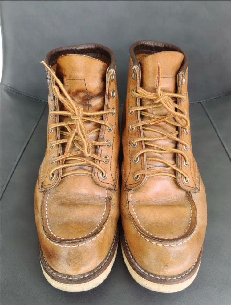 레드윙 목토 875 이미지