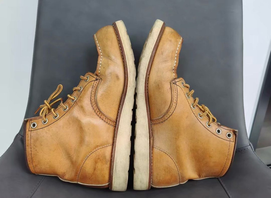 레드윙 목토 875 이미지