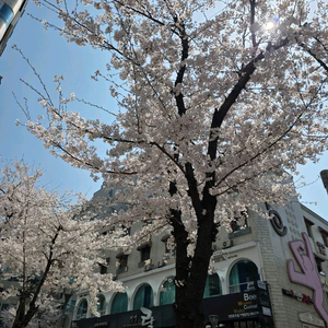 로스트아크 닉네임 이미지