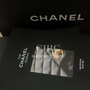 샤넬 동그리19 탬버린백 이미지